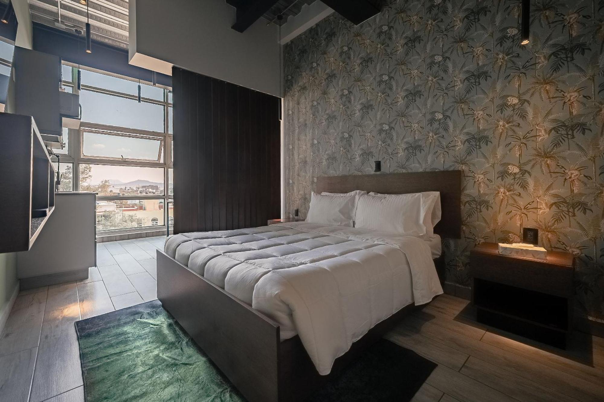 The Jungle Loft Tropical Comfort In A Centric Location With Kitchen 멕시코 시 외부 사진